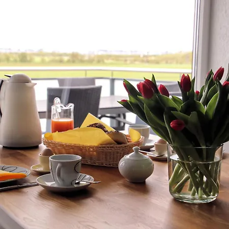 Pusteblume Fehmarn